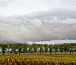 Entre ciel et terre en Bourgogne