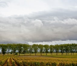 Entre ciel et terre en Bourgogne