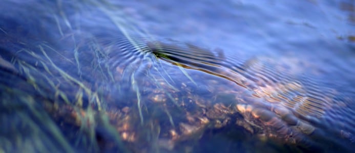 Eau