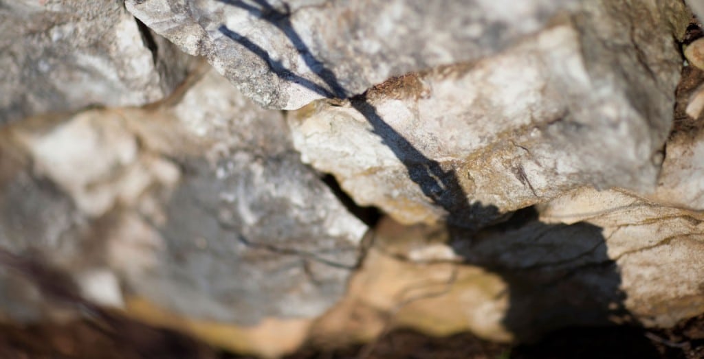 Photographie d'Armelle