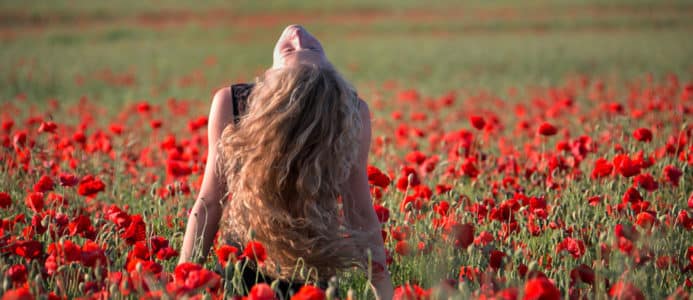 Coquelicot
