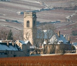 Domaine Cyrot-Buthiau, viticulteur à Pommard